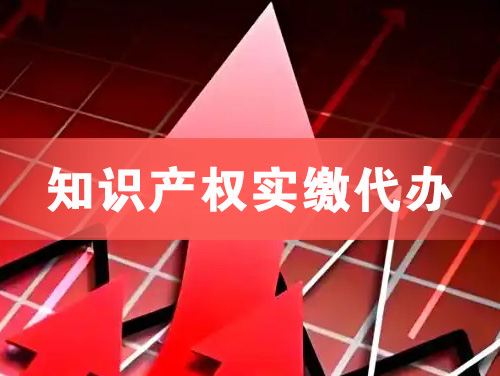 宜都知识产权实缴资本代办